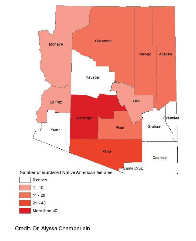 murders by county.jpg
